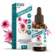 ECHINACEA CSEPP – A természetes védekező rendszer és az alsó húgyúti traktus egészségének fenntartásához Natur Tanya® 