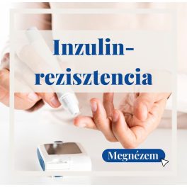 Inzulinrezisztencia